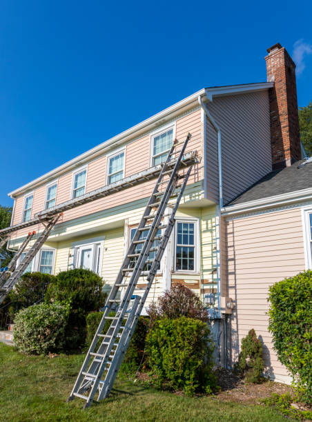 Best Stucco Siding  in Loves Park, IL